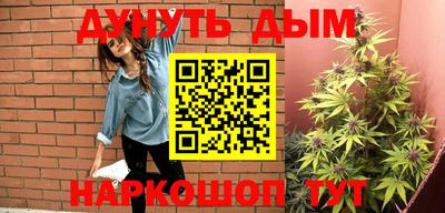 гашик Новозыбков